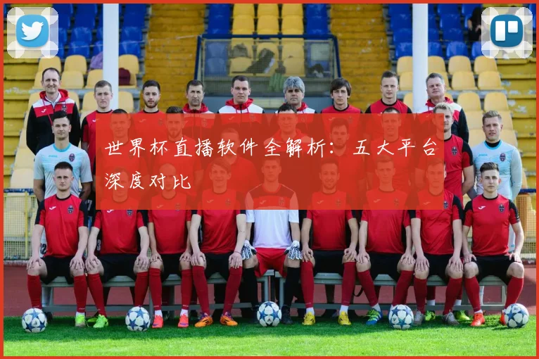 世界杯直播软件全解析：五大平台深度对比