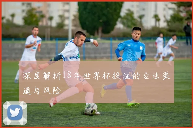 深度解析18年世界杯投注的合法渠道与风险